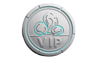 Veteran Zen Silber VIP-Level Badge mit 15% Cashback im GambleZen VIP-Programm